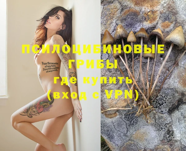 твердый Нязепетровск