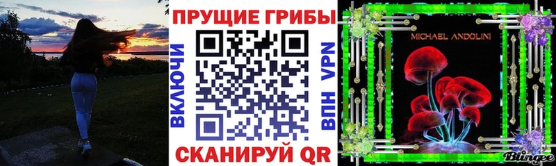 мориарти как зайти  Новороссийск  Галлюциногенные грибы Psilocybe 