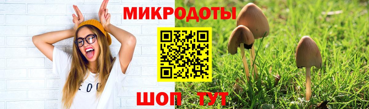 Псилоцибиновые грибы GOLDEN TEACHER Новороссийск